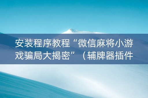 安装程序教程“微信麻将小游戏骗局大揭密”（辅牌器插件购买)