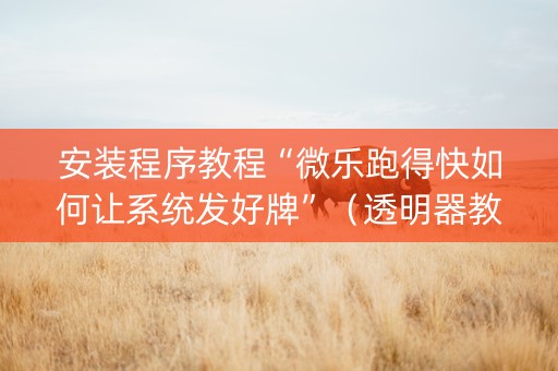 安装程序教程“微乐跑得快如何让系统发好牌”（透明器教程)