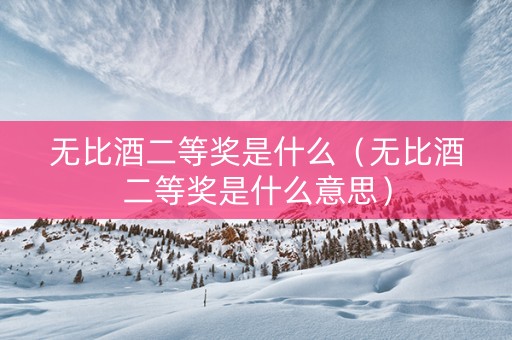 无比酒二等奖是什么（无比酒二等奖是什么意思）
