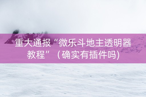 重大通报“微乐斗地主透明器教程”（确实有插件吗)