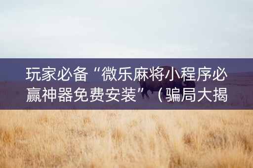 玩家必备“微乐麻将小程序必赢神器免费安装”（骗局大揭秘)