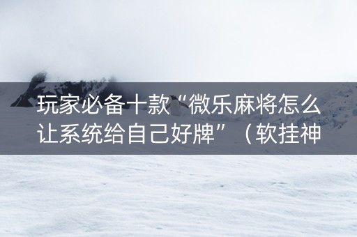 玩家必备十款“微乐麻将怎么让系统给自己好牌”（软挂神器)