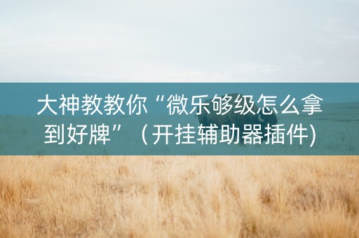 大神教教你“微乐够级怎么拿到好牌”（开挂辅助器插件)