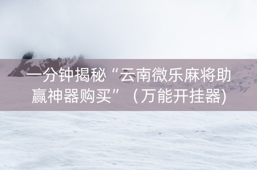 一分钟揭秘“云南微乐麻将助赢神器购买”（万能开挂器)