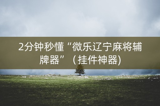 2分钟秒懂“微乐辽宁麻将辅牌器”（挂件神器)