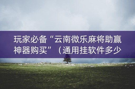玩家必备“云南微乐麻将助赢神器购买”（通用挂软件多少钱)