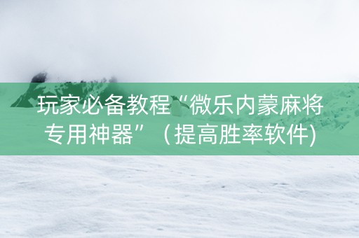 玩家必备教程“微乐内蒙麻将专用神器”（提高胜率软件)
