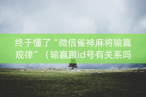 终于懂了“微信雀神麻将输赢规律”（输赢跟id号有关系吗)