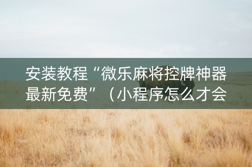 安装教程“微乐麻将控牌神器最新免费”（小程序怎么才会赢)