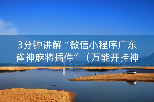 3分钟讲解“微信小程序广东雀神麻将插件”（万能开挂神器)
