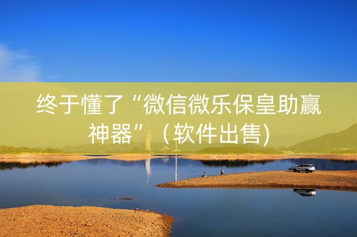 终于懂了“微信微乐保皇助赢神器”（软件出售)
