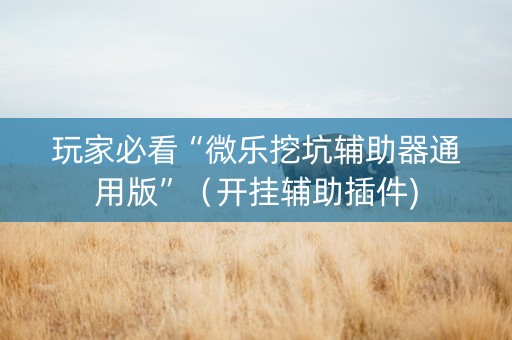 玩家必看“微乐挖坑辅助器通用版”（开挂辅助插件)