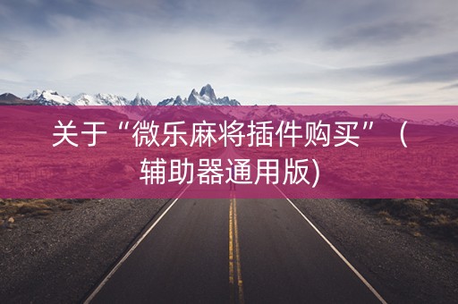 关于“微乐麻将插件购买”（辅助器通用版)
