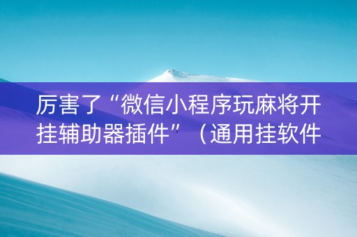 厉害了“微信小程序玩麻将开挂辅助器插件”（通用挂软件多少钱)