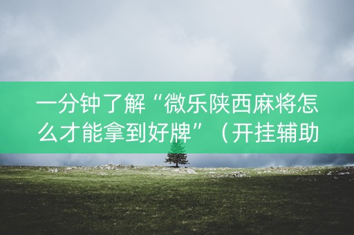一分钟了解“微乐陕西麻将怎么才能拿到好牌”（开挂辅助器脚本)