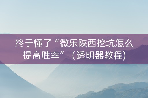 终于懂了“微乐陕西挖坑怎么提高胜率”（透明器教程)