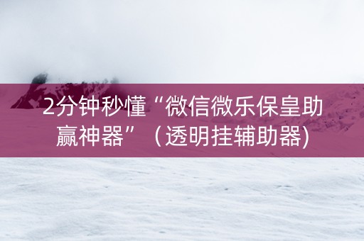 2分钟秒懂“微信微乐保皇助赢神器”（透明挂辅助器)
