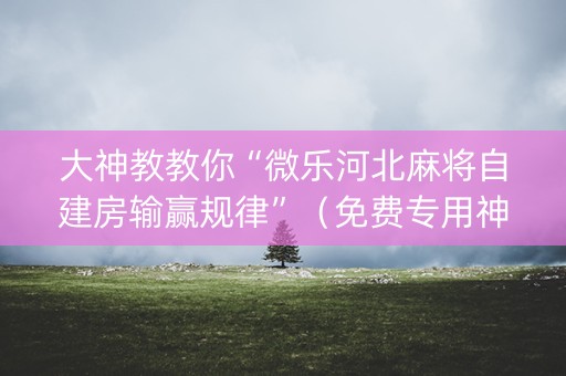大神教教你“微乐河北麻将自建房输赢规律”（免费专用神器)