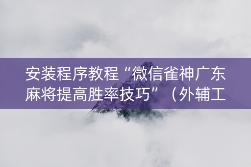 安装程序教程“微信雀神广东麻将提高胜率技巧”（外辅工具)
