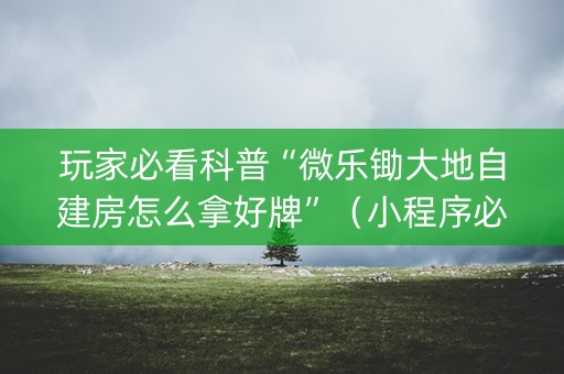 玩家必看科普“微乐锄大地自建房怎么拿好牌”（小程序必赢神器)