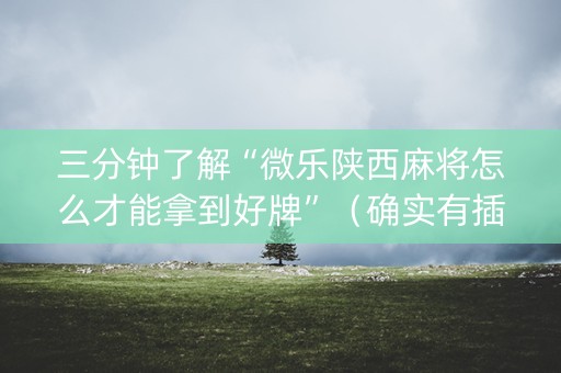 三分钟了解“微乐陕西麻将怎么才能拿到好牌”（确实有插件吗)