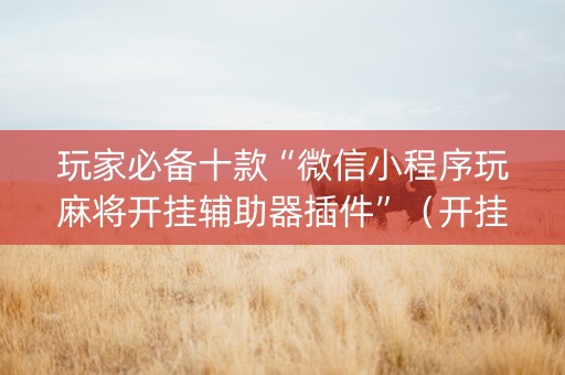 玩家必备十款“微信小程序玩麻将开挂辅助器插件”（开挂辅助脚本)