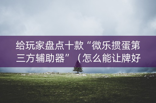 给玩家盘点十款“微乐掼蛋第三方辅助器”（怎么能让牌好一点)