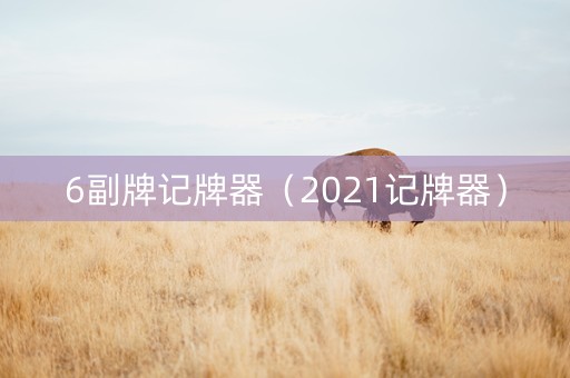 6副牌记牌器（2021记牌器）