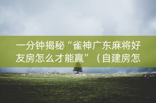 一分钟揭秘“雀神广东麻将好友房怎么才能赢”（自建房怎么拿好牌)