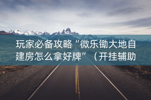 玩家必备攻略“微乐锄大地自建房怎么拿好牌”（开挂辅助脚本)