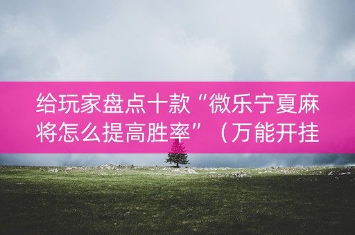 给玩家盘点十款“微乐宁夏麻将怎么提高胜率”（万能开挂器)