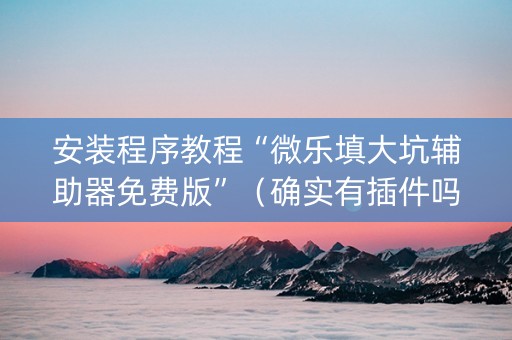 安装程序教程“微乐填大坑辅助器免费版”（确实有插件吗)