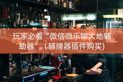 玩家必看“微信微乐锄大地辅助器”（辅牌器插件购买)