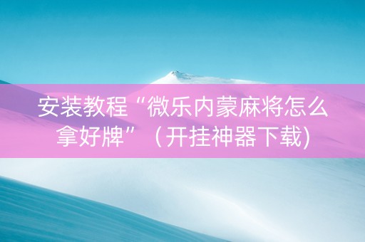 安装教程“微乐内蒙麻将怎么拿好牌”（开挂神器下载)