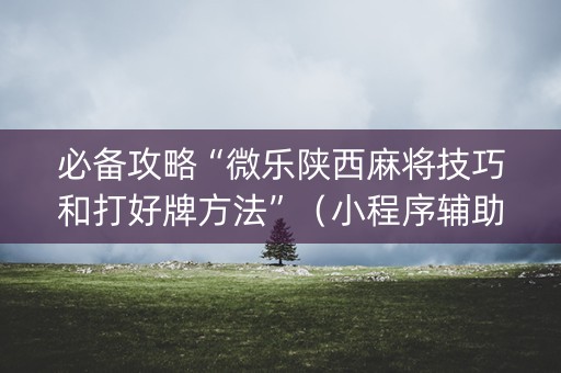 必备攻略“微乐陕西麻将技巧和打好牌方法”（小程序辅助软件)