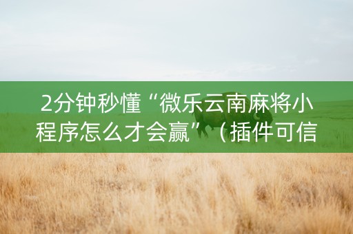 2分钟秒懂“微乐云南麻将小程序怎么才会赢”（插件可信吗)