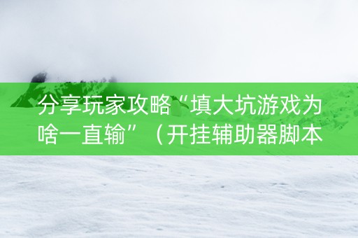分享玩家攻略“填大坑游戏为啥一直输”（开挂辅助器脚本)
