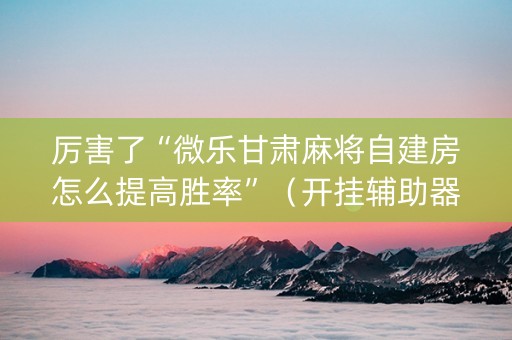 厉害了“微乐甘肃麻将自建房怎么提高胜率”（开挂辅助器插件)