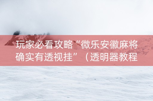 玩家必看攻略“微乐安徽麻将确实有透视挂”（透明器教程)