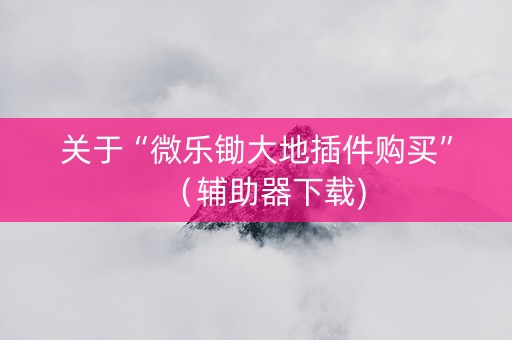 关于“微乐锄大地插件购买”（辅助器下载)