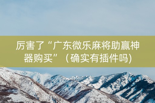 厉害了“广东微乐麻将助赢神器购买”（确实有插件吗)
