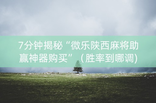 7分钟揭秘“微乐陕西麻将助赢神器购买”（胜率到哪调)
