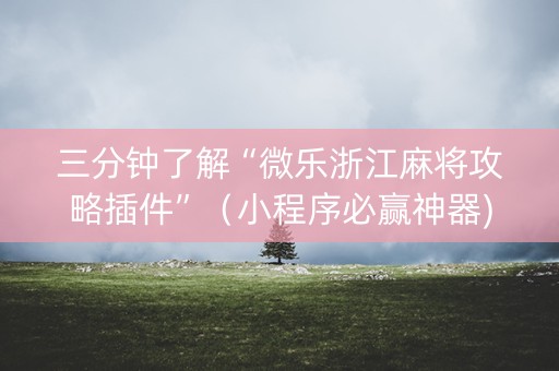 三分钟了解“微乐浙江麻将攻略插件”（小程序必赢神器)