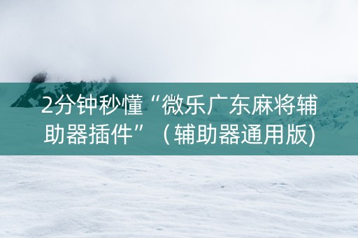 2分钟秒懂“微乐广东麻将辅助器插件”（辅助器通用版)