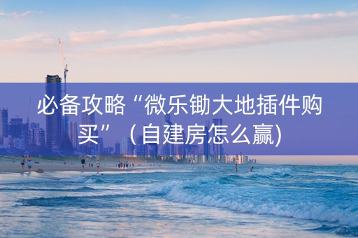 必备攻略“微乐锄大地插件购买”（自建房怎么赢)