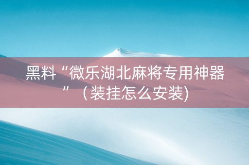 黑料“微乐湖北麻将专用神器”（装挂怎么安装)
