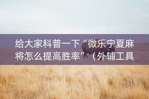 给大家科普一下“微乐宁夏麻将怎么提高胜率”（外辅工具)