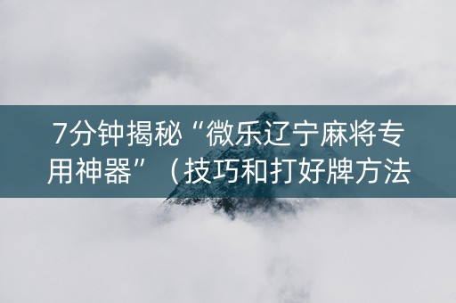 7分钟揭秘“微乐辽宁麻将专用神器”（技巧和打好牌方法)