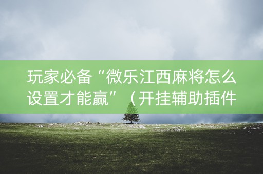 玩家必备“微乐江西麻将怎么设置才能赢”（开挂辅助插件)