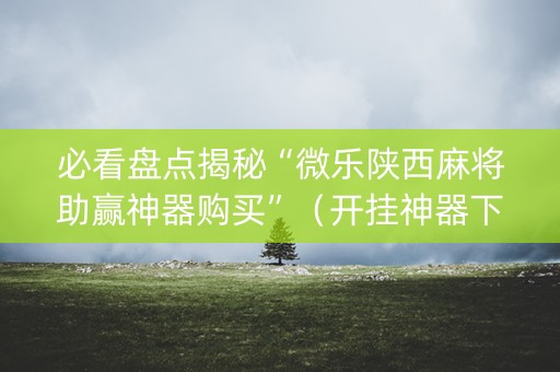 必看盘点揭秘“微乐陕西麻将助赢神器购买”（开挂神器下载)